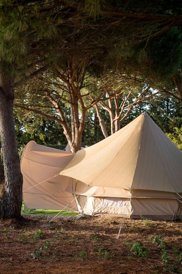 Glamping La Mimosa Conil Conil De La Frontera Exterior foto